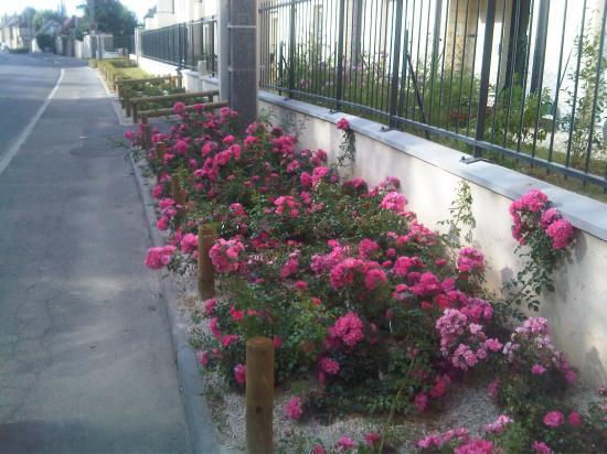 Nouveaux parterres réalisés par la Mairie_3
